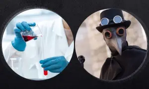 Чума в XXI веке — насколько она опасна
