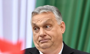 Катастрофа МН17: Нідерланди готують законодавчу базу для суду