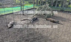 Зеленський нагородив лікарів столичного кардіоцентру державними відзнаками