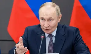 Сергей Тигипко стал фигурантом дела о похищении внуков