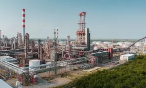 Дим від лісових пожеж щороку пов’язують із 1,5 млн смертей — дослідження