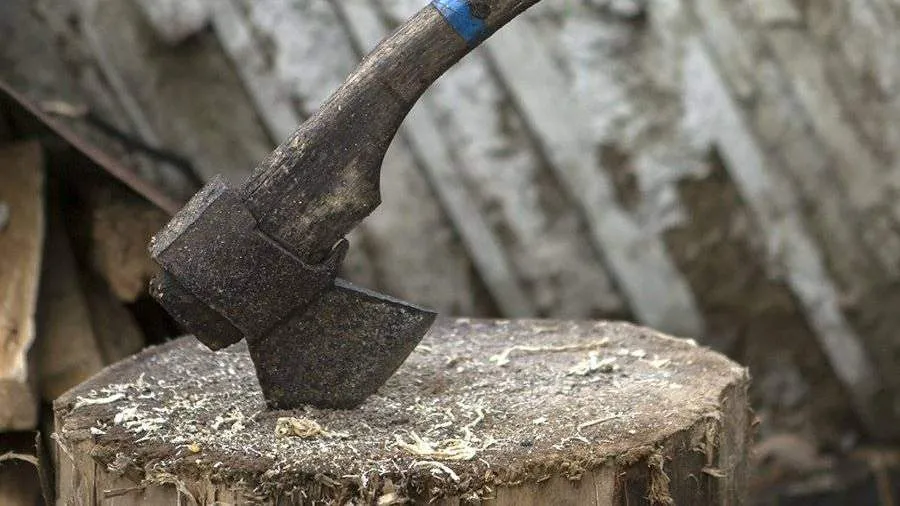 У Бєлгородській області військовий «СВО» напав на сусіда з сокирою після конфлікту в шкільному чаті