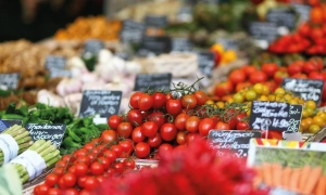 Гусь розповість про правила користування київським метро