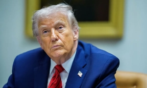 Каліфорнія першою у США заборонила продаж хутра