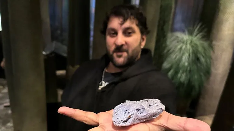 У Канаді знайшли череп мікрозавра віком 307 мільйонів років