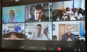 В Україні знижуються ціни на помідори