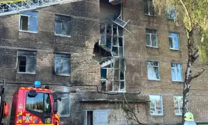 У Херсонській області лісоруб підірвався на російській міні