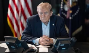 Фото: СБУ виявила кілька схронів терористів на Донеччині