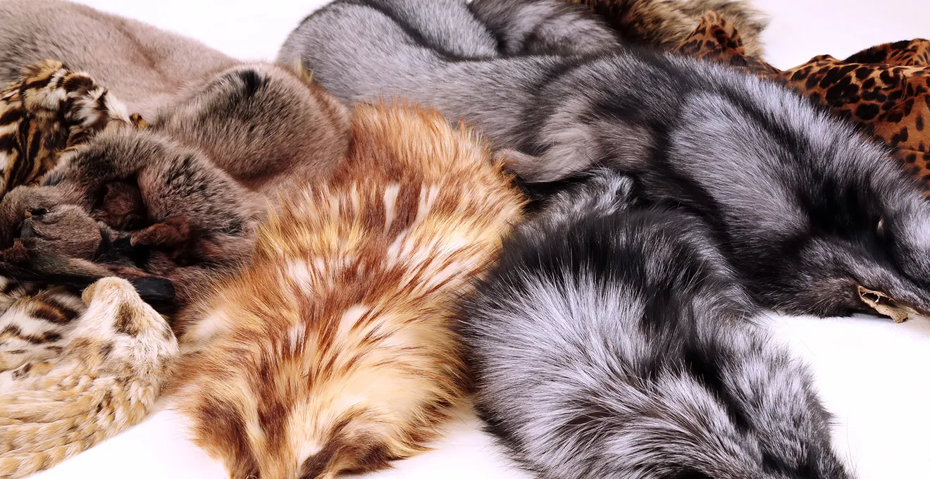 The Ukrainian brand SOBOLINI has come under fire over its use of real fur