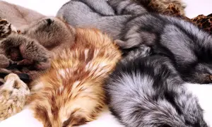 The Ukrainian brand SOBOLINI has come under fire over its use of real fur