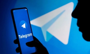 У Польщі знайшли мертвого кабана з африканською чумою: влада не виключає диверсію