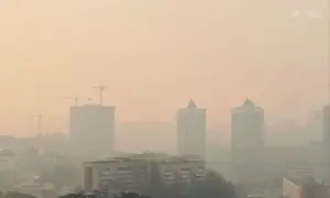 Посольство Бразилії відмовилося допомагати бойовику з «ДНР»