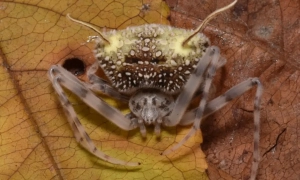 Байден на зустрічі з Сі Цзіньпіном обговорить війну рф проти України 