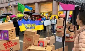 В Індонезії евакуювали 11 орангутанів через пожежу на Борнео