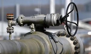 Німеччина проти постійної військової присутності в Румунії, якої просить Бухарест