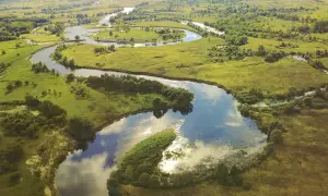 Нові українські дрони-перехоплювачі проходять випробування на практиці
