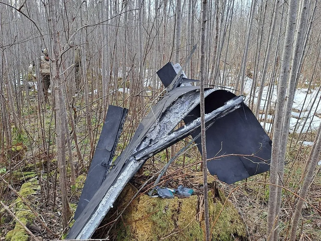 Міністр оборони Литви обговорить у Києві запобігання інцидентам з українськими БПЛА