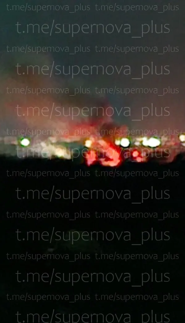 2455247.webp