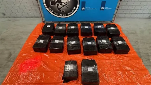 У Нідерландах в контейнері з манго виявили майже 500 кг кокаїну — NOS