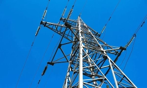 Видео: сотрудники ЧАЭС спасли бродячего пса с крыши саркофага