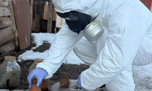 Окупанти Херсона спішно планують новий «референдум»