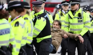 Палеонтологи обнаружили самую древнюю кожу рептилии возрастом 289 миллионов лет