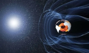 Рада може дозволити поліції застосовувати електрошокери: що для цього буде потрібно