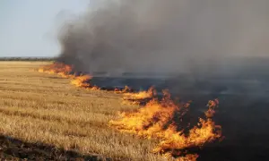 В Україні зросла кількість дітей, поранених внаслідок агресії Росії 