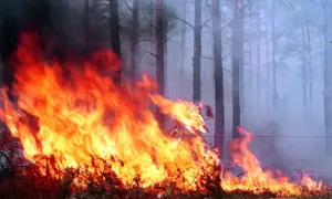 Одеська облрада планує закупити преміальні авто за мільйони