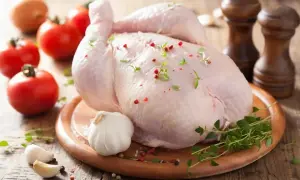 В Бельгии 10 пассажиров получили полгода тюрьмы и €1600 штрафа за поддельный ковид-сертификат