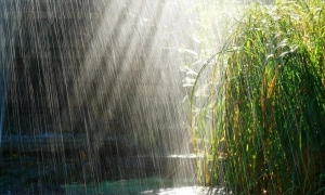 Червоний Хрест направив до Донецька фури з гумдопомогою для місцевих жителів