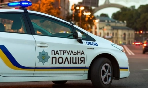 Суд стягнув величезний штраф з комунальників за пошкоджений каштаном Lexus