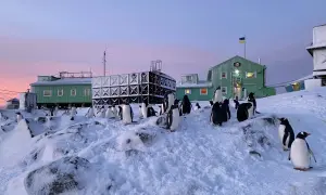 Неля Штепа у суді розповіла про захоплення Слов’янська