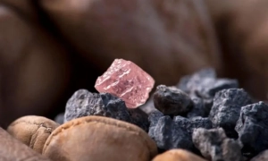 Трамп назвав «гарною ідеєю» пропозицію путіна про ядерну зброю