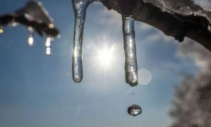 Актуальна ситуація на фронті: зведення Генштабу 