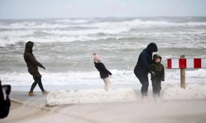 В Дании в прошлом году зарегистрировали наибольшее за 13 лет количество браков