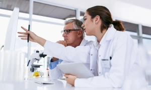 На Запорізькому напрямку Сили оборони збили російський Су-34