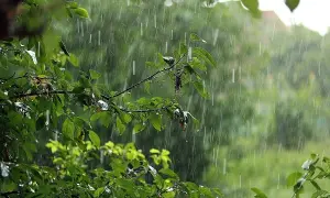 Укрзализныця временно изменила расписание пригородных поездов в Кировоградской области