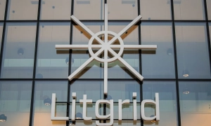 Відео: у літак з росіянами врізалися орли