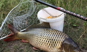 Прокуратура вимагає повернути державі собор УПЦ МП, де відспівували Шевченка