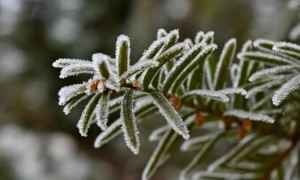 Опитування показало, скільки українців підтримують будівництво нових блоків АЕС