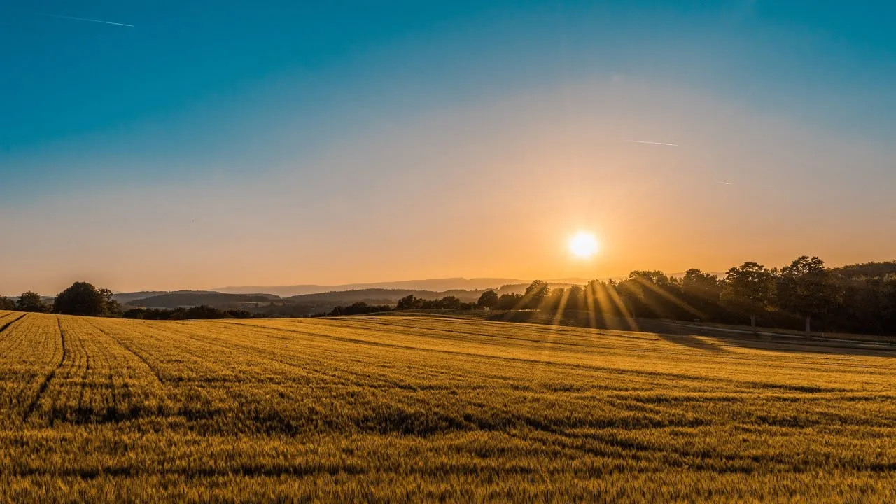 Земля в Украине резко подорожала