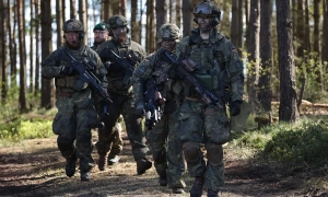 Гренландія заявила, що не прагне стати частиною США — DR