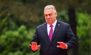 Син Януковича продає вугілля з окупованих територій України