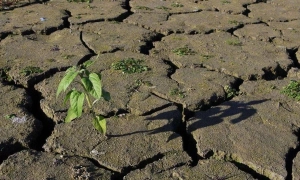 У російському СІЗО відмовляються допомагати українському політв’язню з інсультом
