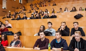 УДО закупило автомобілі Volkswagen T7 майже на 52 млн грн