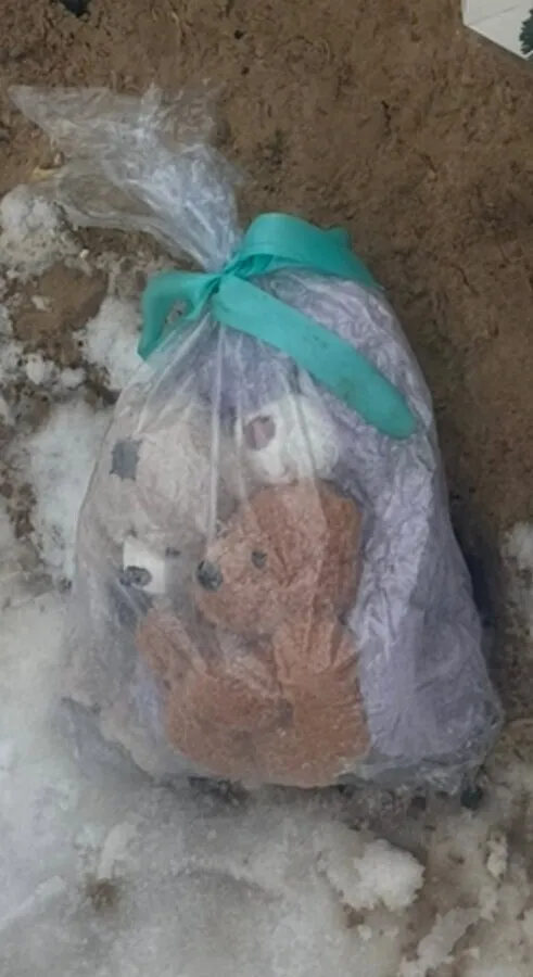 A court in Rivne Oblast sentenced a woman who stole toys from a child's grave