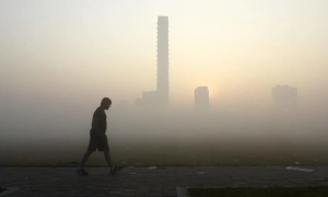 Петиція про мораторій на демонтаж ларьків у Києві набрала необхідну кількість голосів