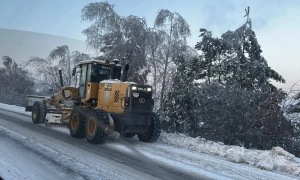 Директор «Агроспецсервісу» погорів на великому хабарі
