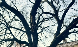 Київ готовий до опалювального сезону – Кличко